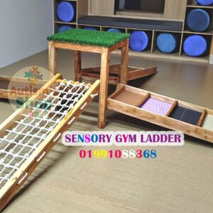 Sensory gym ladder