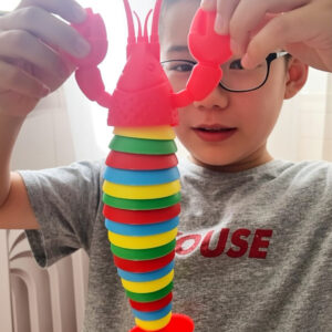 Slug Lobster Toy Flexible Articulated Lobster Sensory Toy | Fidget & Stress Relief Toy for General & Special Needs Kids | Enhances Fine Motor Skills, Focus & Calming Sensory Stimulation